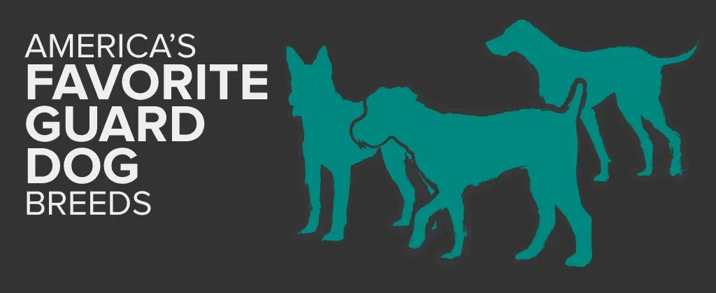A header graphic reading "America's Favorite Guard Dog Breeds" with silhouettes of three dogs
